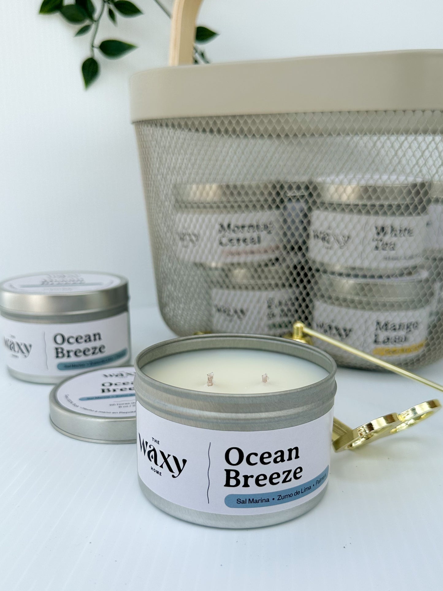 Ocean Breeze vela en lata aromatizada con los aromas del mar como Sal marina, Ralladura de Lima y Palma